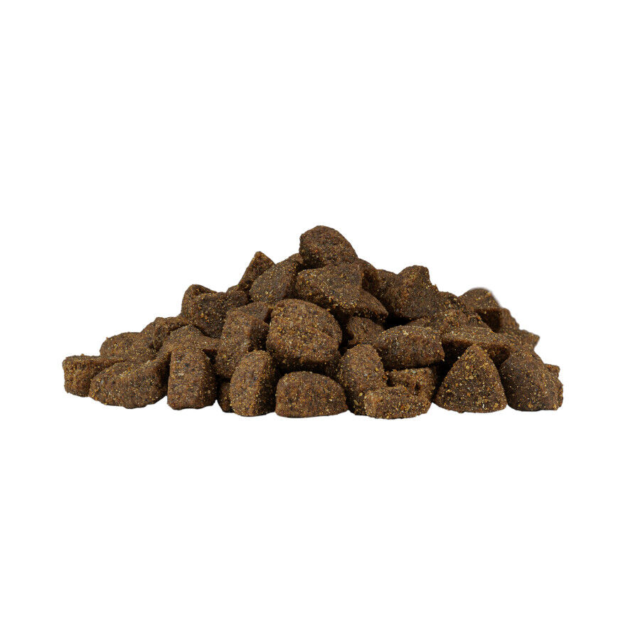 Weego Grain Free Mini Adult Ocean Salm&oacute;n pienso para perros, , large Imagen numero 2