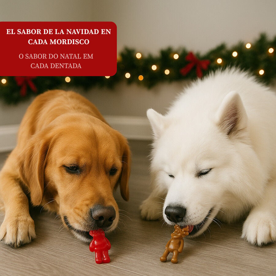 2 uds. Wonder Christmas Snacks Reno & Santa Navide&ntilde;os para perros, , large indicador imagen numero 4