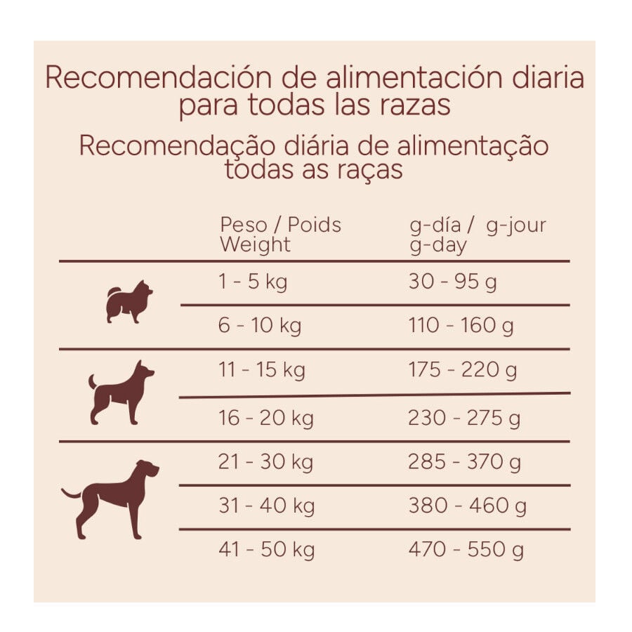 10 kg Criadores Monoproteico Adulto con Cordero pienso para perros, , large indicador imagen numero 10