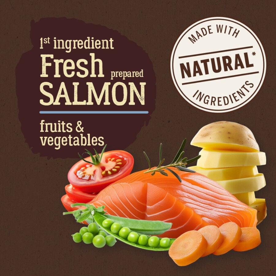3 kg True Origins Pure Grain Free Adult Mini Salm&oacute;n pienso para perros, , large Imagen numero 2