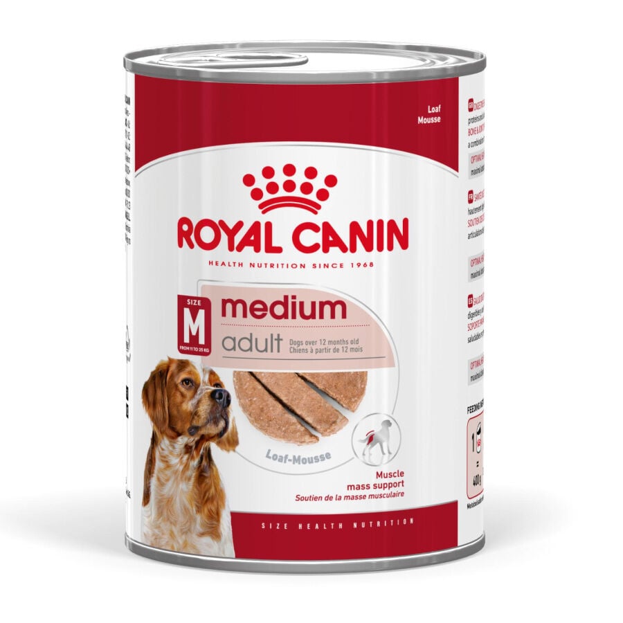 410 g Royal Canin Medium Adult Pat&eacute; lata para perros, , large Imagen numero 1