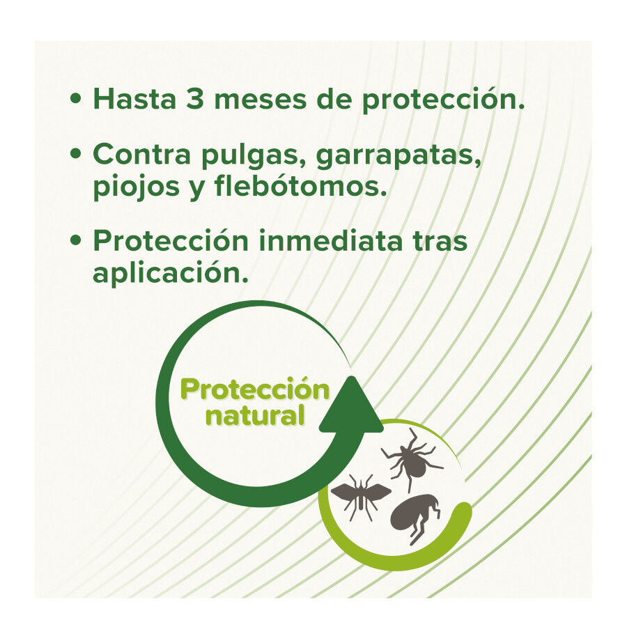 Beaphar Pipetas Repelentes para perros, , large Imagen numero 3