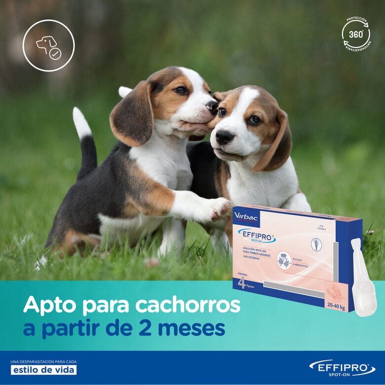 Virbac Effipro pipetas antipar&aacute;sitos perros 20-40 kg, , large Imagen numero 4