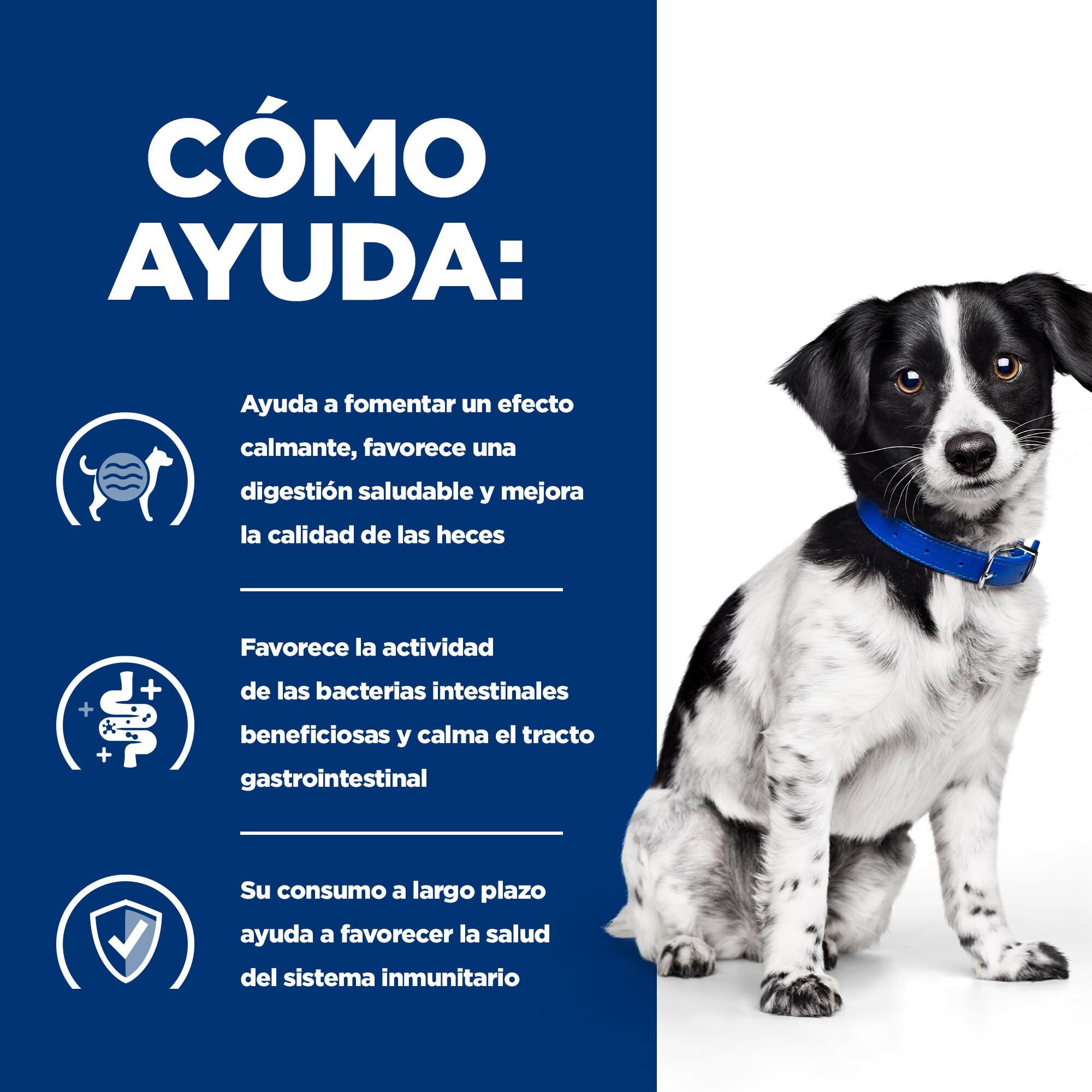 6 kg Hill's Prescription Diet Mini Digestive Care Stress i/d pienso para perros, , large Imagen numero 4