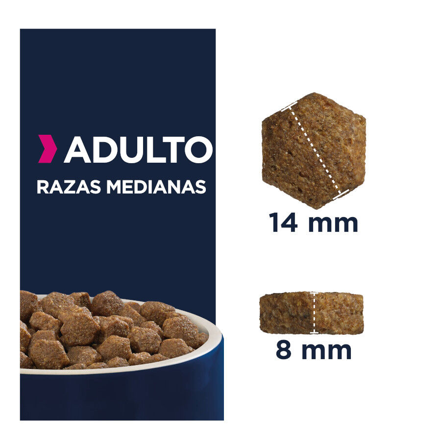 15 kg Eukanuba Adult Medium Pollo pienso para perros, , large Imagen numero 4