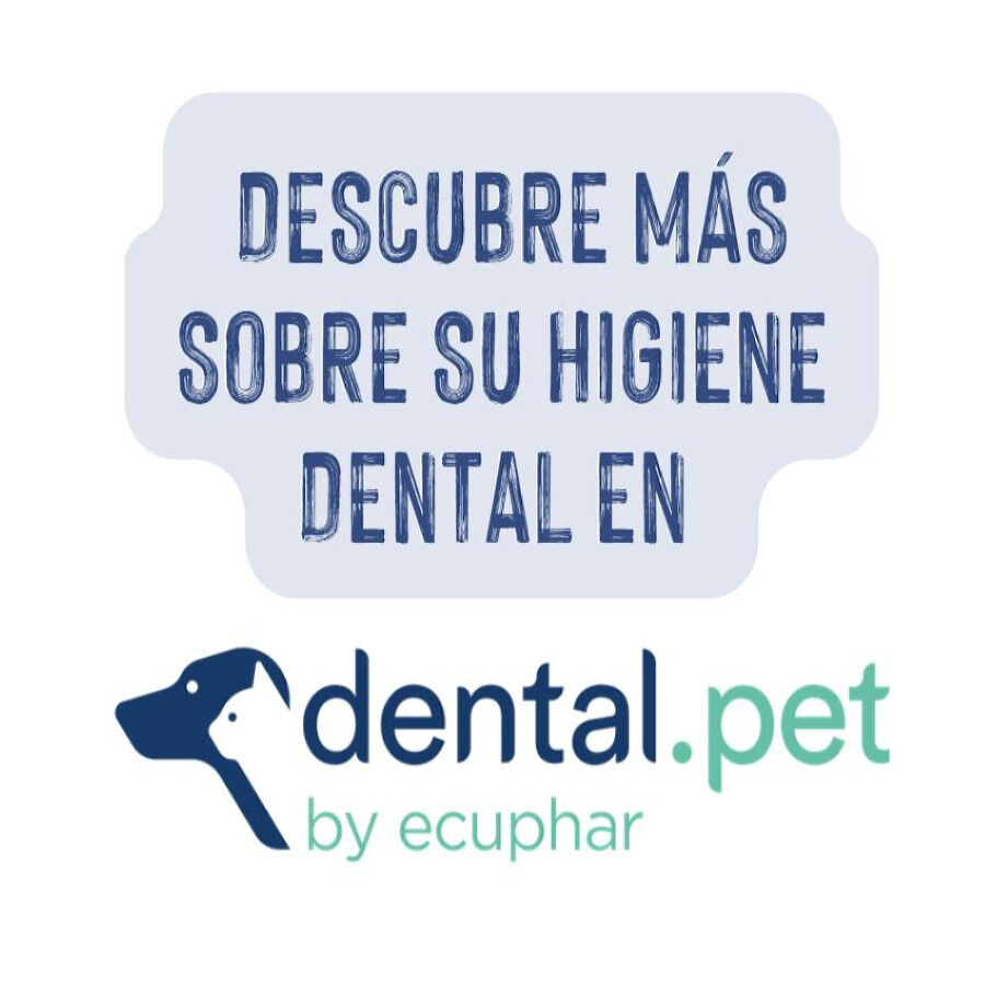 Ecuphar Plaqtiv+ Toallitas Dentales para perros y gatos, , large Imagen numero 5