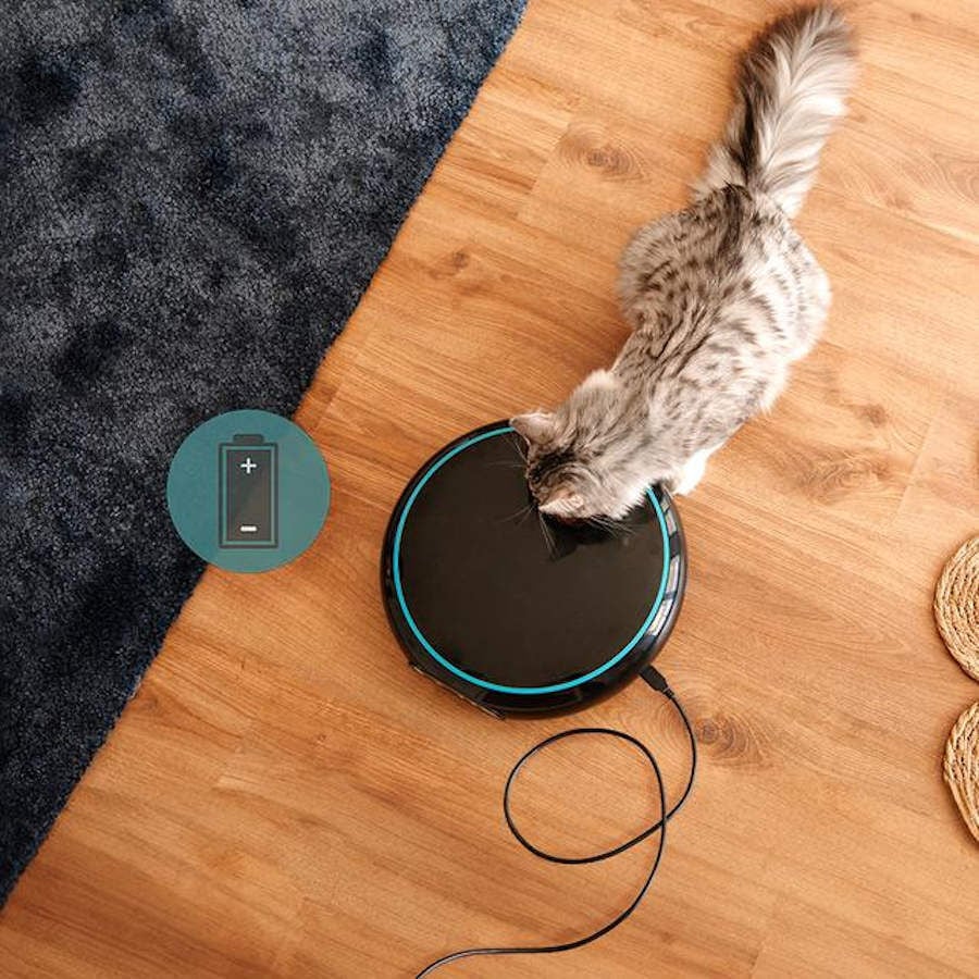 Cecotec Pumba 1600 Purrfect Meal Comedero Dispensador para perros y gatos, , large indicador imagen numero 4