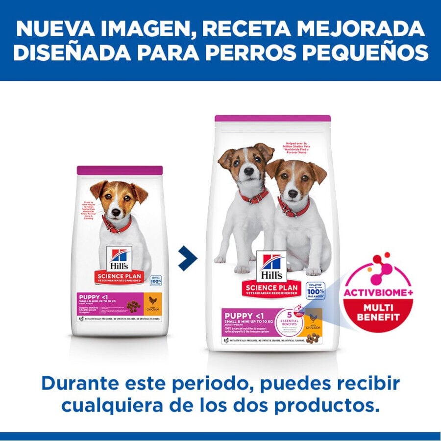 6 kg Hill's Science Plan Puppy Small y Mini Pollo Pienso para cachorros, , large Imagen numero 3