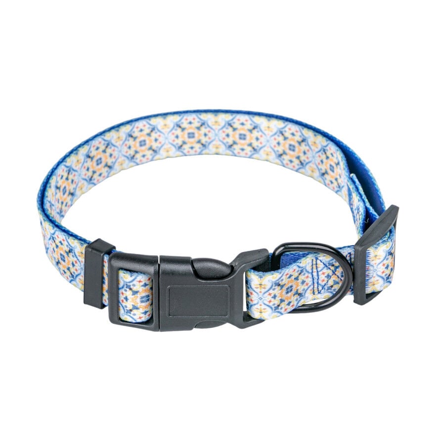 Summer Vibes Pack Correa y Collar Dolce Vita para perros, , large Imagen numero 3
