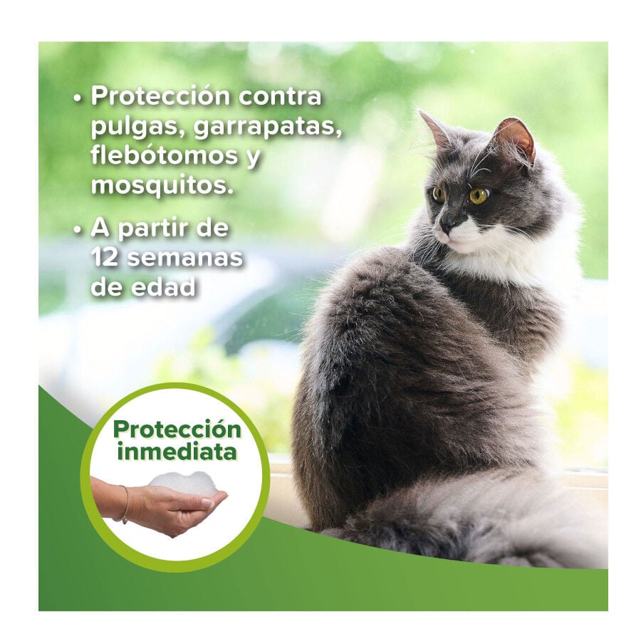 Beaphar Champ&uacute; Repelente para perros y gatos, , large indicador imagen numero 4