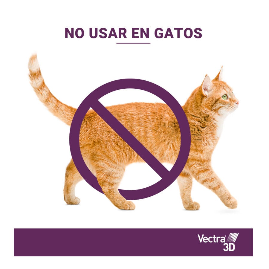 Vectra 3D Pipetas Antiparasitarias para perros, , large Imagen numero 5