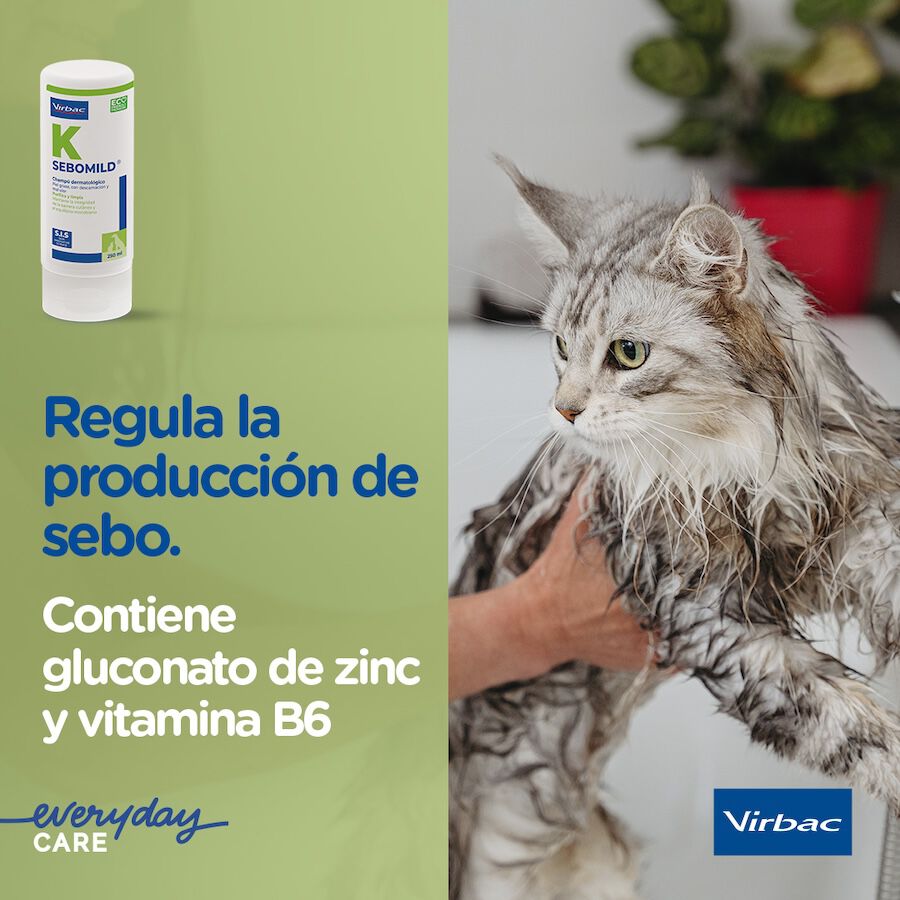 Virbac Sebomild Champ&uacute; para pieles grasas en perros y gatos, , large Imagen numero 5