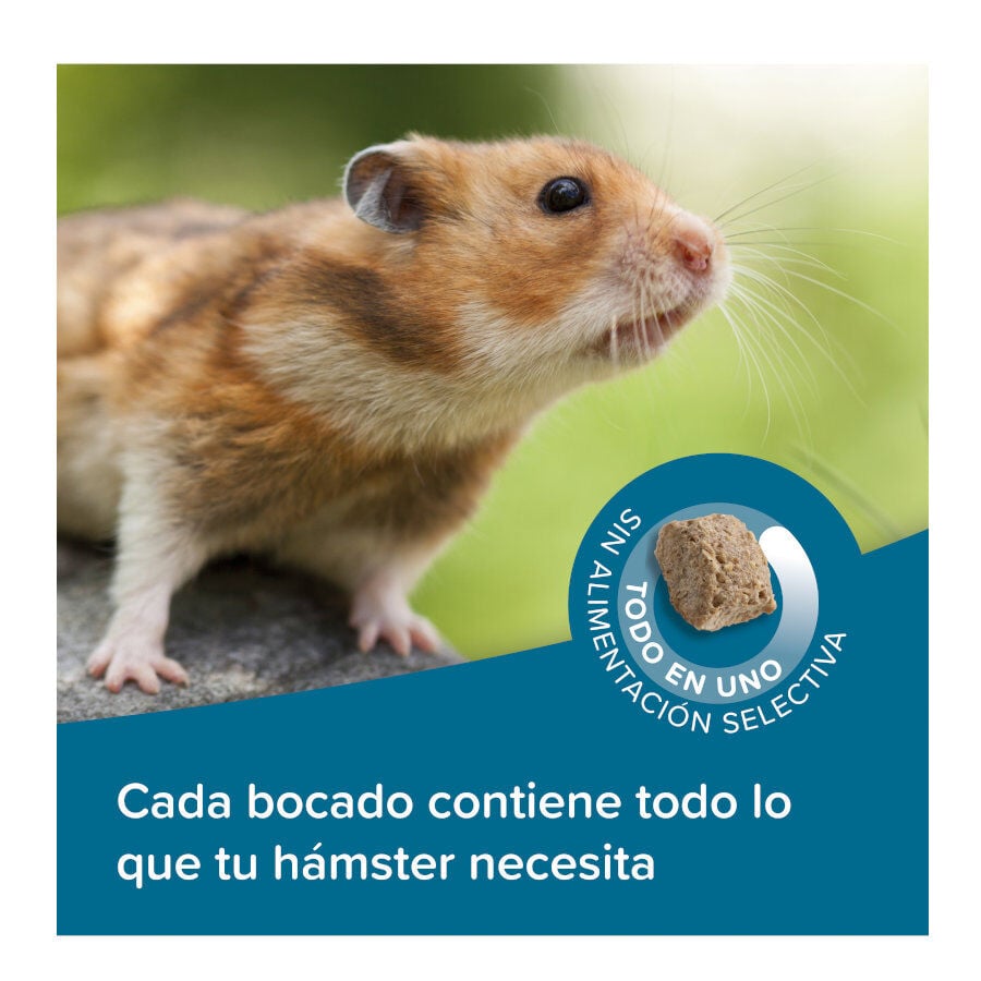 700 g Beaphar Care+ Pienso para h&aacute;msteres, , large indicador imagen numero 4