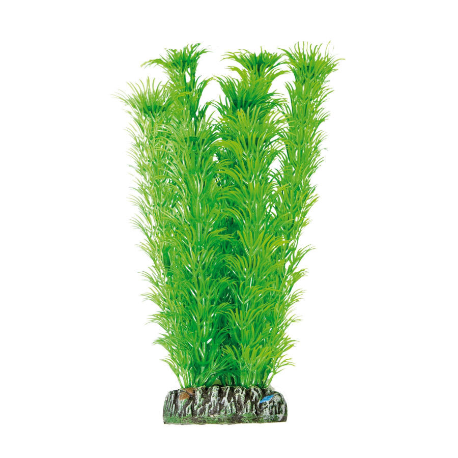 ICA Aquatic Plants Ambulia planta artificial para acuarios, , large Imagen numero 1
