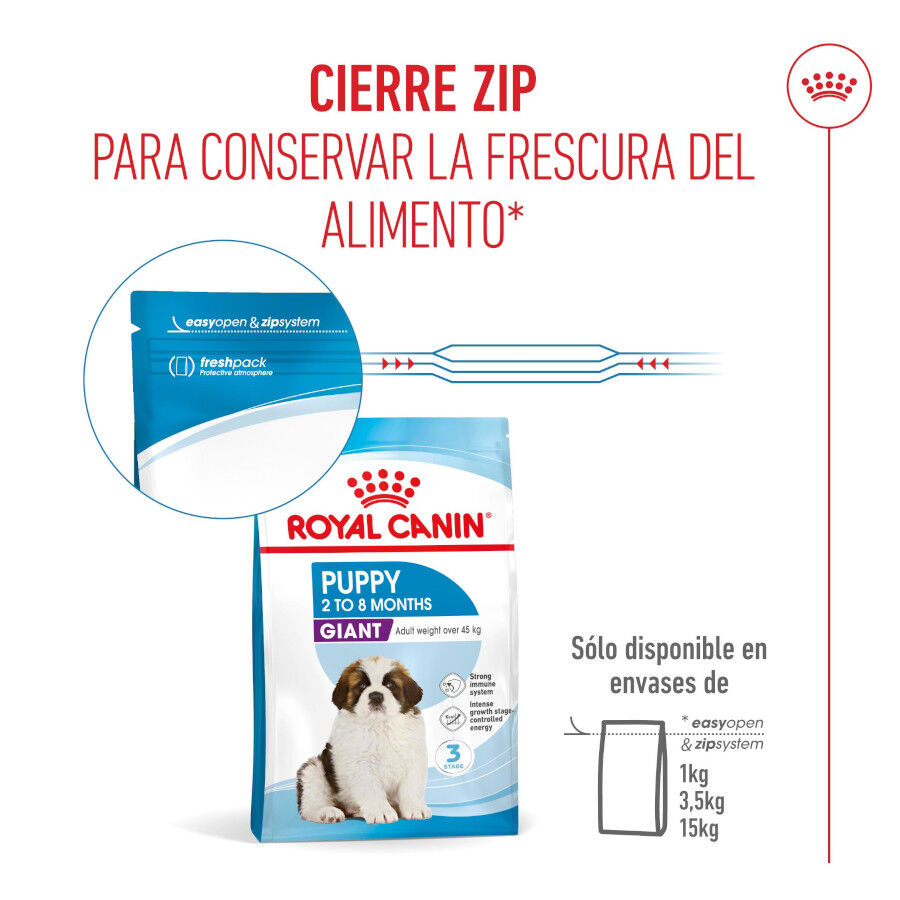 1 kg Royal Canin Puppy Giant pienso para perros, , large Imagen numero 9