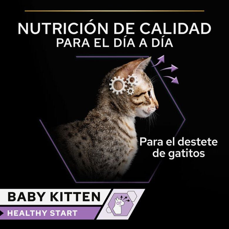 85 g Pro Plan Mousse Baby Kitten Pollo Lata para gatos&nbsp;, , large indicador imagen numero 3