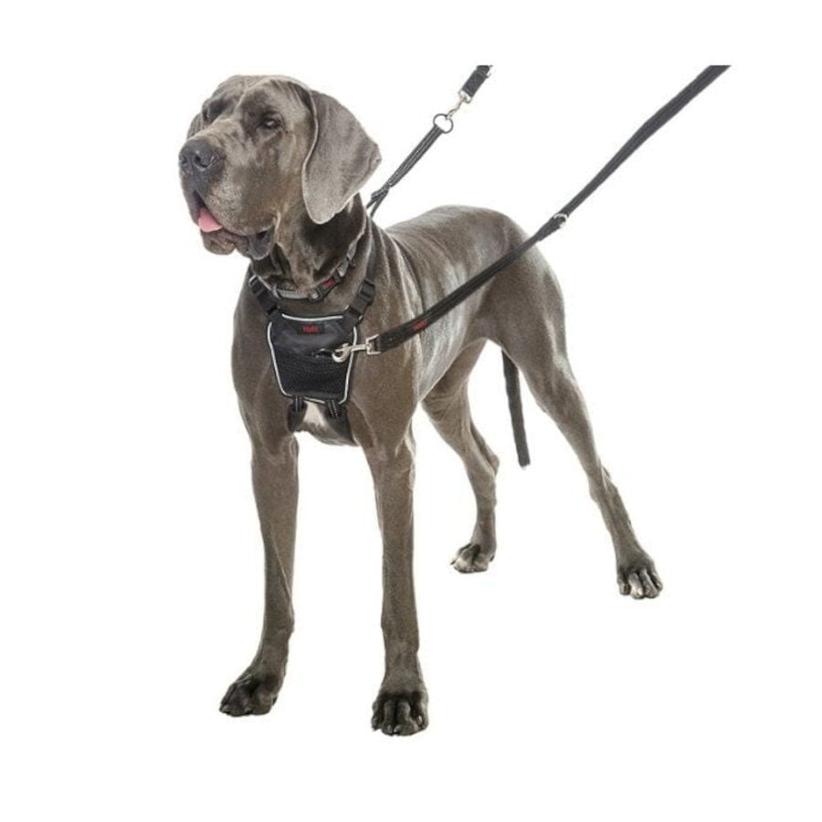 Halti Arn&eacute;s antitirones negro para perros, , large indicador imagen numero 3