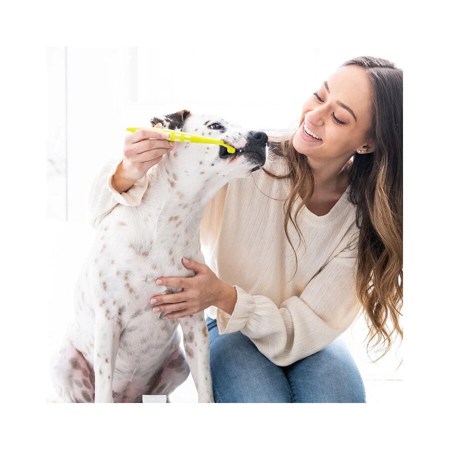 Petosan Kit Dental Peque&ntilde;o para perros y gatos, , large indicador imagen numero 4