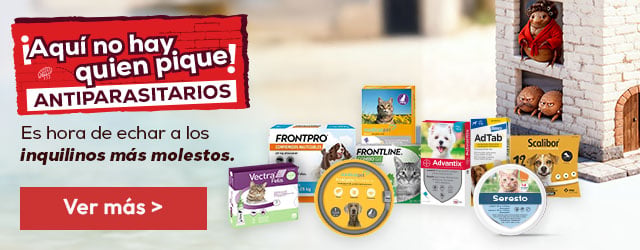 Antiparasitarios: Es hora de protegerlos de las pulgas, garrapatas, flébotomos...