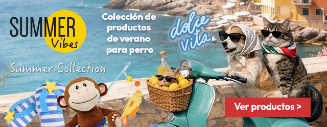 Summer Dog: Colección de verano para perro