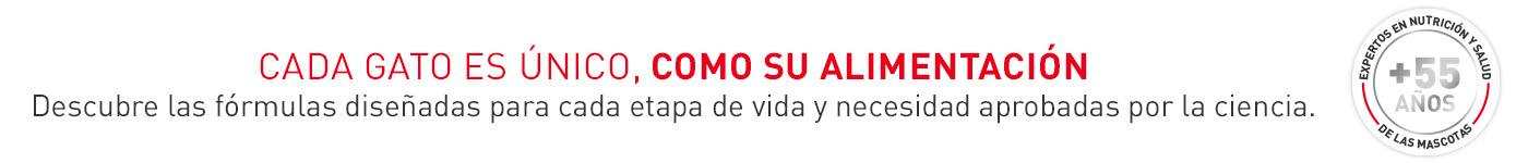 Descubre las fórmulas diseñadas para cada etapa de vida y necesidad para tu gato aprobadas por la ciencia.