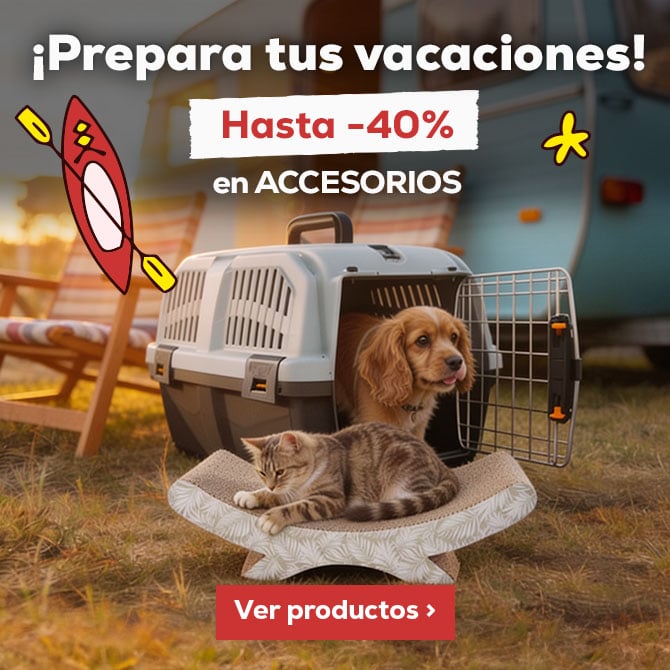 Prepara su viaje con los accesorios más top