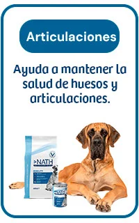 Nath Mobility: ayuda a mantener la salud de huesos y articulaciones