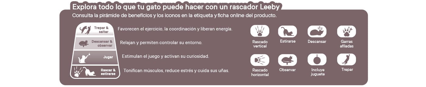 Conoce el universo de accesorios Leeby:  Diseño y bienestar para cada estilo de vida y tipo de mascota.