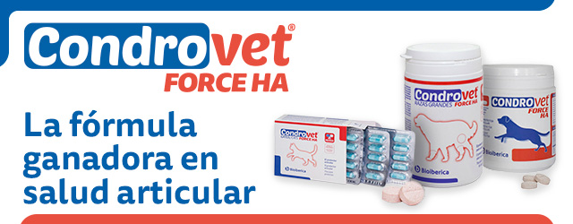 Condrovet: La fórmula ganadora en salud articular