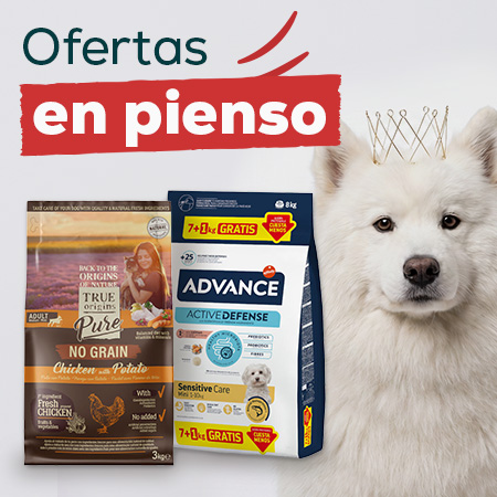 Ofertas en pienso para perro