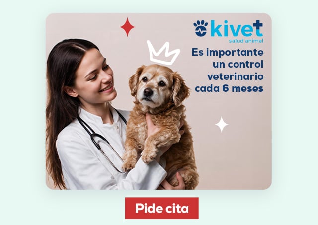 Clínicas Kivet. Encuentra la clínica más cercana y pide cita para una primera revisión