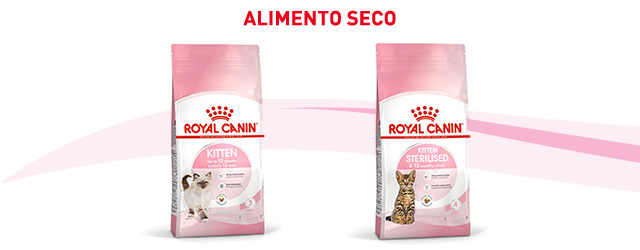 Descubre el pienso que mejor se adapta para tu gatito