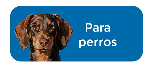Criadores Científico: Perro