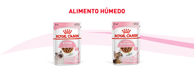 Descubre la comida húmeda que mejor se adapta para tu gatito