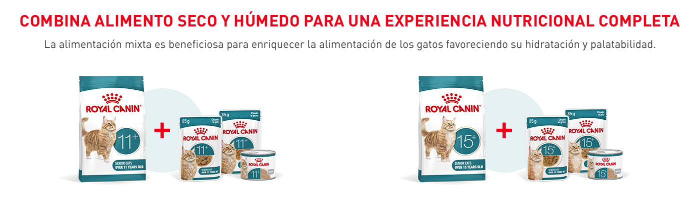 Dale a tu gato una experiencia nutricional completa favoreciendo su hidratación y palatabilidad combinando el pienso seco con la comida húmeda.