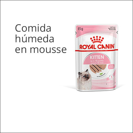 Royal Canin Kitten paté en sobre