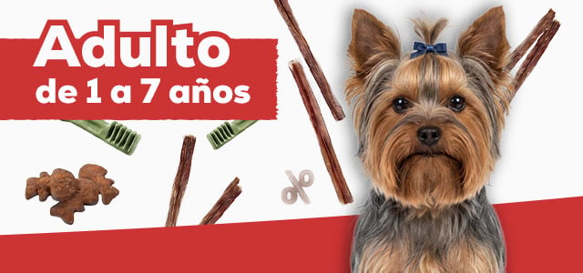 Snacks para perro adulto de 1 a 7 año