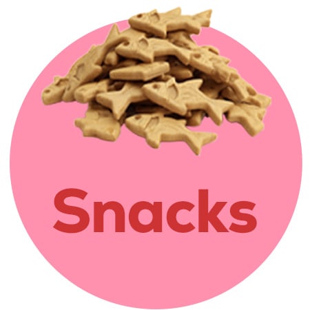 Snacks para gatitos
