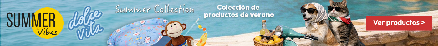 Summer Vibes: Colección de productos de verano