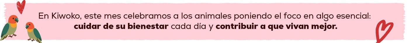 Celebramos el mes a los animales, en cuidar de su bienestar y contribuir a que vivan mejor