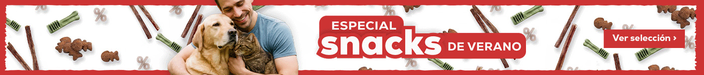 Elige su snacks favorito