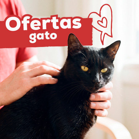 Ofertas para gato