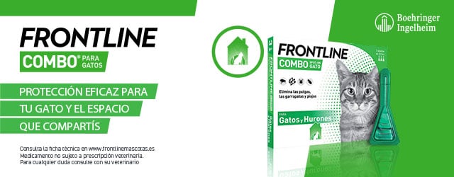 Frontline