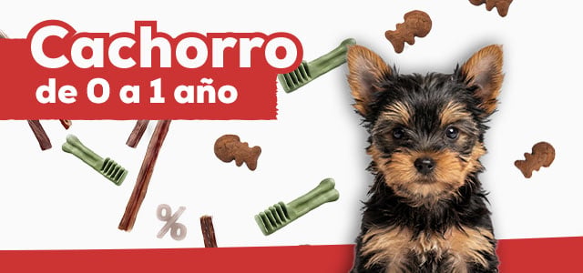 Snacks para cachorro de 0 a 1 año