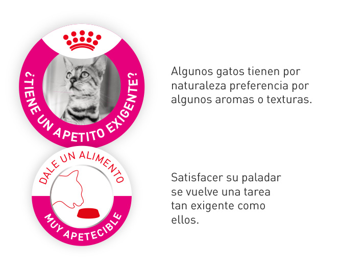 Elige Royal Canin fussy cuando satisfacer el paladar de tu gato es una tarea exigente por su preferencia en texturas y/o aromas