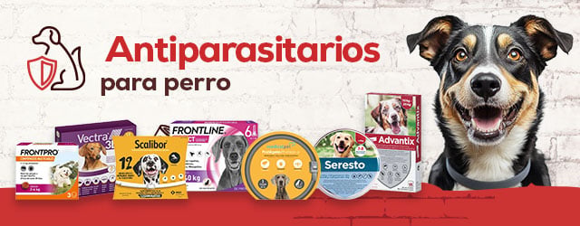 Antiparasitario para perro