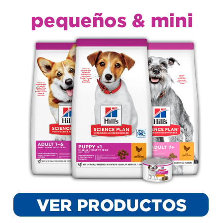 Descubre el alimento adecuado de Hill's Science Plan para tu perro de razas mini