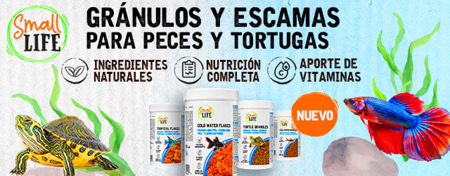 Small Life: ¡Novedad! Granulos y escamas para peces y tortugas