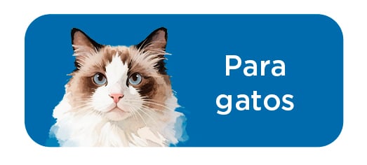 Criadores Científico: Gato