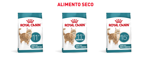 Royal Canin Senior. Encuentra el pienso que mejor se adapta para tu gato de edad avanzada.